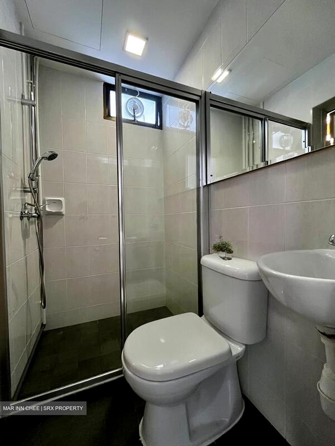 Pastoral View (D11), Apartment #545166001